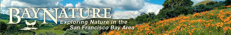 bay-nature-logo