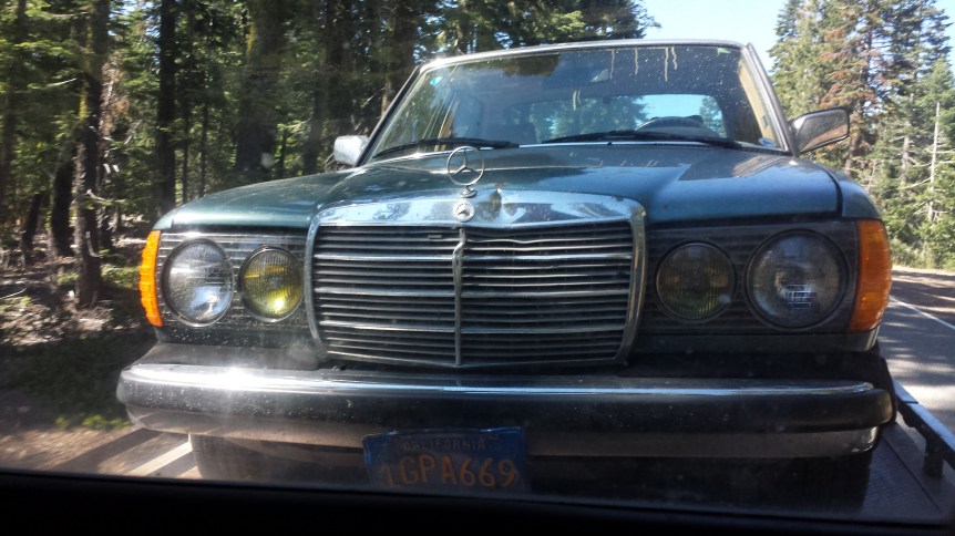 Sarah's 1983 Mercedes